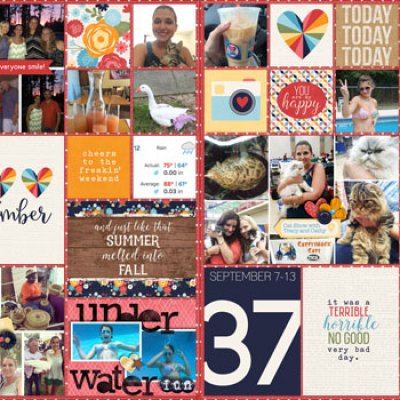 Project Life Week 37