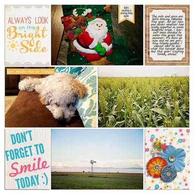 Project 2015: Week 32 (right)