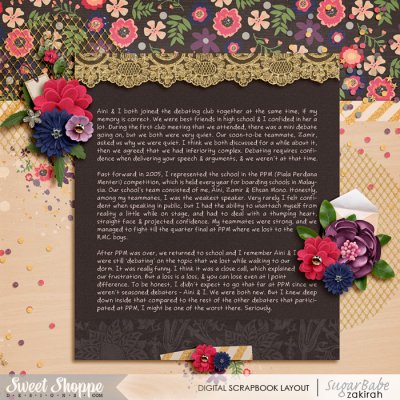 Debater - Page 2