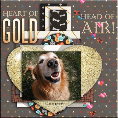 N17 - Heart of Gold