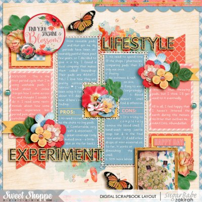 Lifestyle Experiment