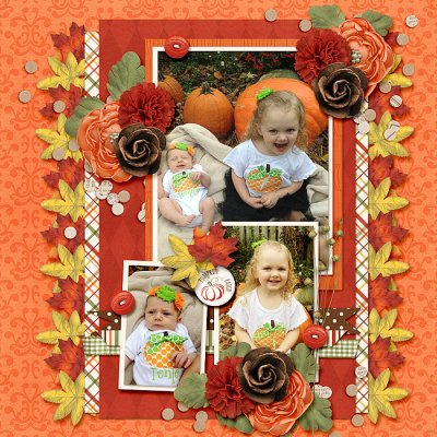Pumpkin Patch