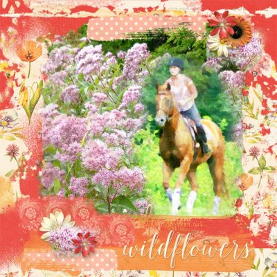Wildflower Ride