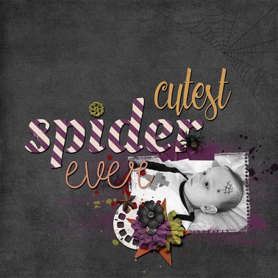 cutest spider