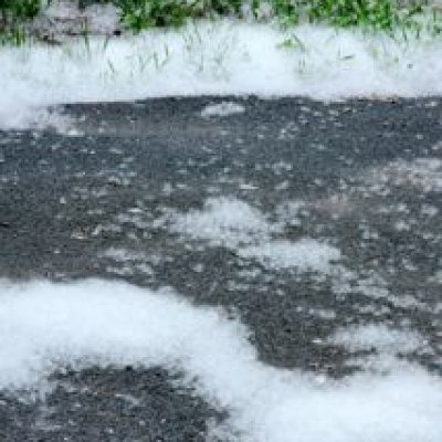 Cottonwood "Snow"