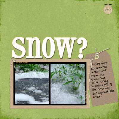 Snow?