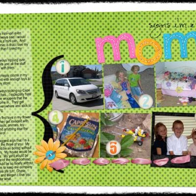 Signs I'm A Mom - 2007