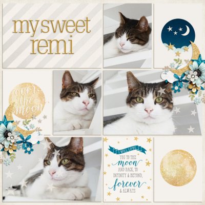 My sweet Remi