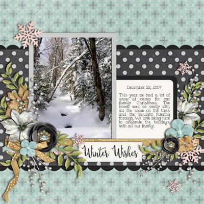 Winter Wishes