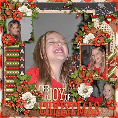 The Joy of Christmas