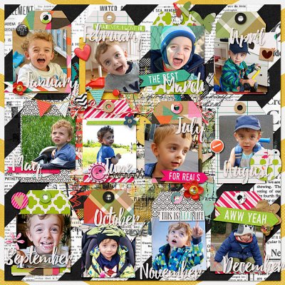 2015 In Review