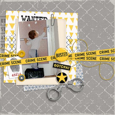 busted6
