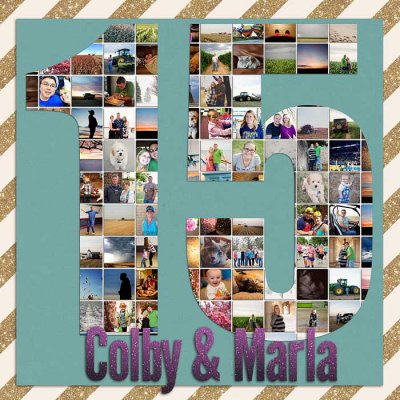 2015 Cover Page