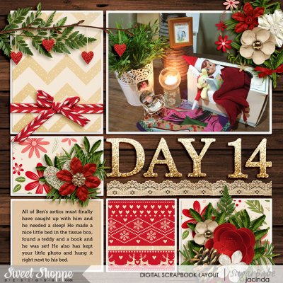 Day 14 - Elf on a shelf