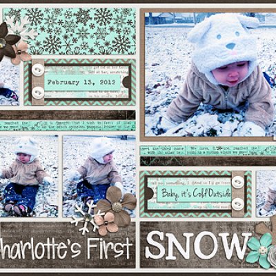 Charlotte's First Snow