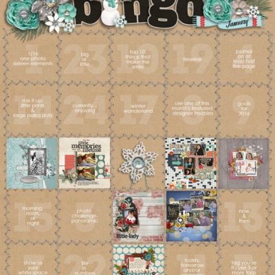 January 2016 Bingo Card