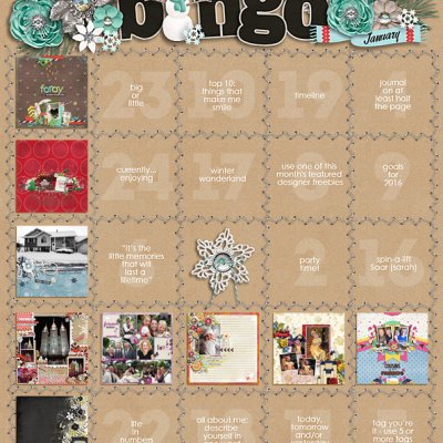 January Bingo Card