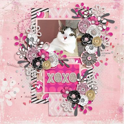 xoxo
