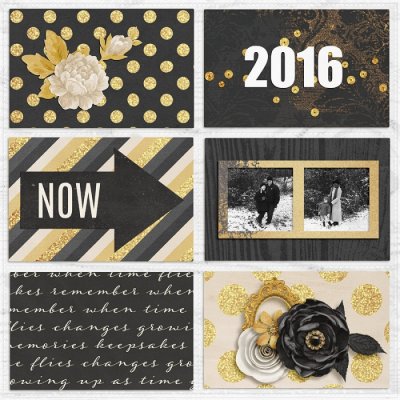 2016 Project Life Cover