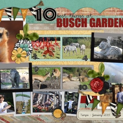 Busch Gardens