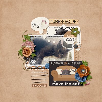 purr-fect-Hanna