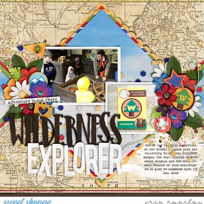 Wilderness Explorer