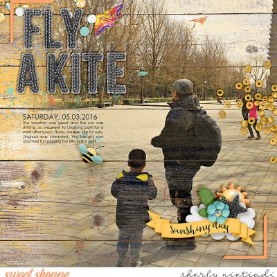 Fly a kite