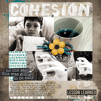 Cohesion #14 something nerdy