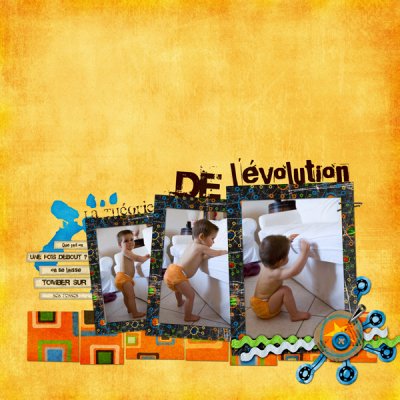 La thorie de l'volution
