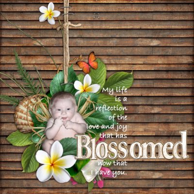Blossomed Reflection