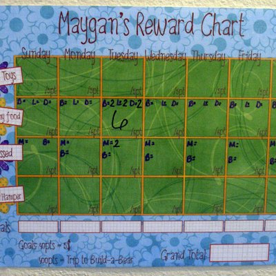 Reward Chart