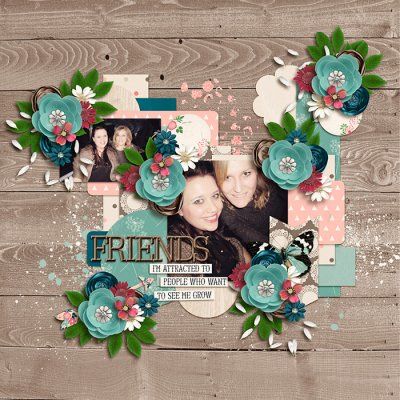 Friends_-_small