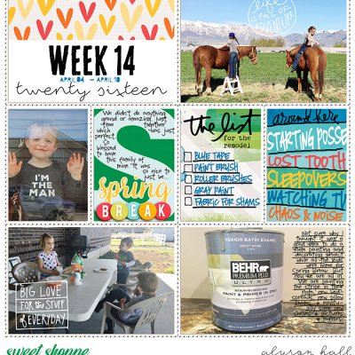 PL 2016 WK 14