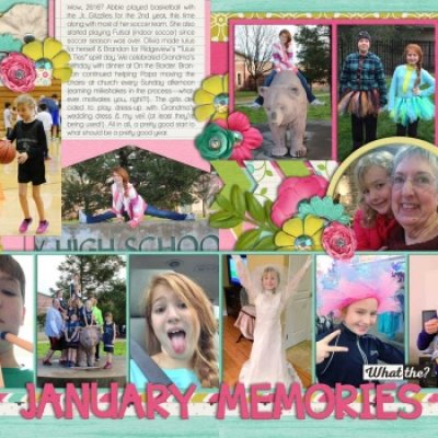 JANUARY MEMORIES (2016)