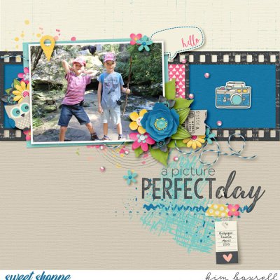Picture Perfect Day