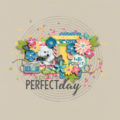 A Picture Perfect Day
