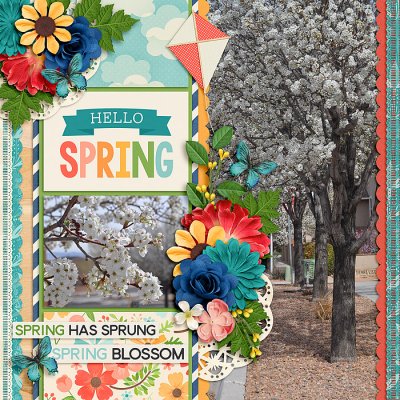April Bingo Challenge #15: Up Close/From Afar