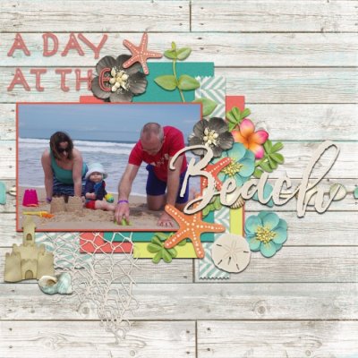 a day at the beach 1