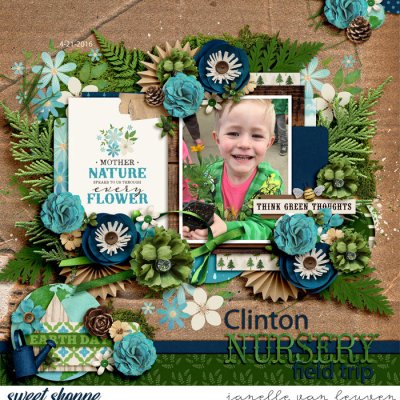 Clinton Nursery