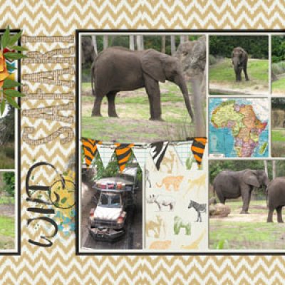 Elephant Safari