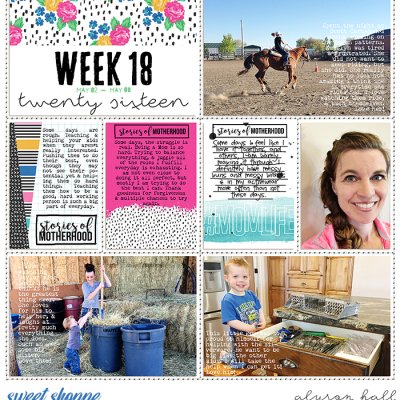 PL 2016 Wk 18