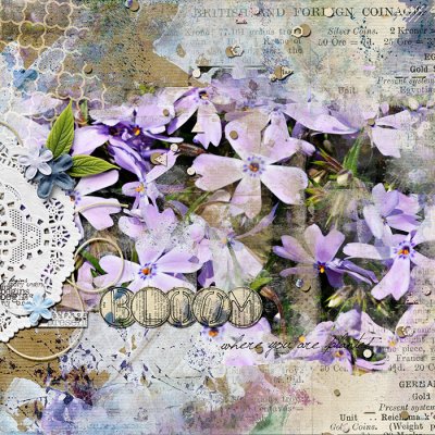 Bloom where you are Planted