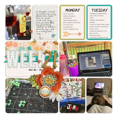 Project Life Week 21