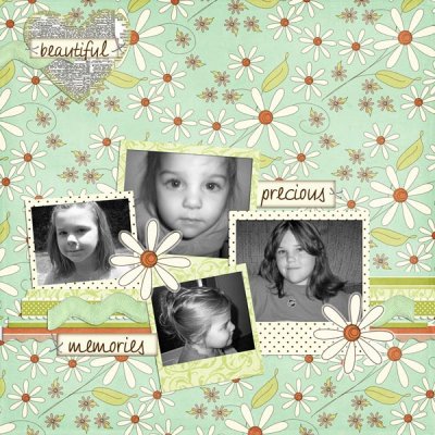Beautiful Precious memories