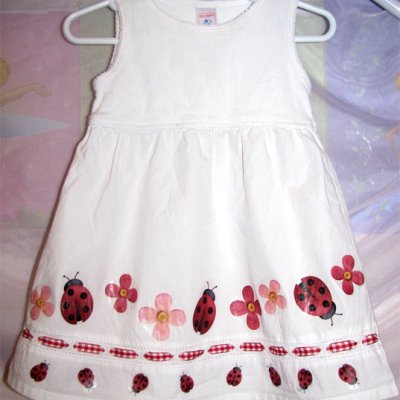 Ladybug Dress