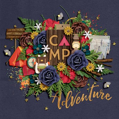 Camp