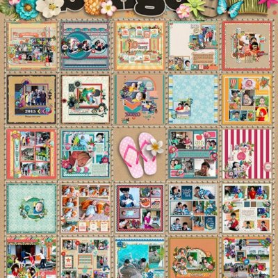 NTTD_June2016_tracker