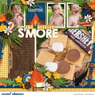 the-perfect-smore-wm