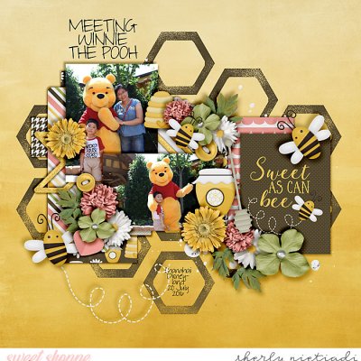 Meeting Winnie the Pooh