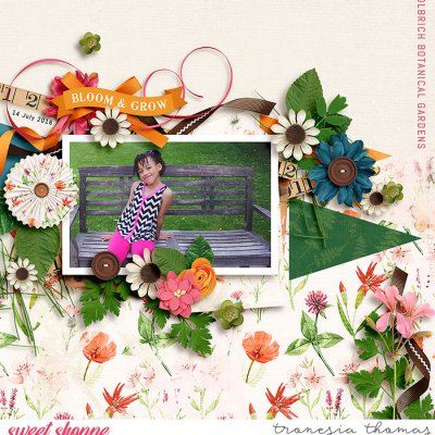 walk in the gardens